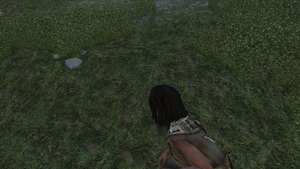 ACIII-HideandSeek 4.png