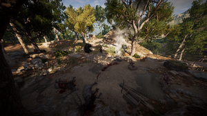 ACOD - Nesaia's camp.png