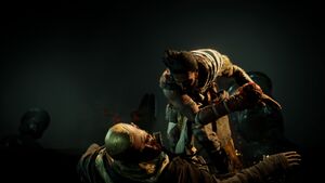 ACO False Oracle 16.jpg