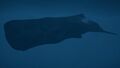 Thumbnail for version as of 00:24, 23 January 2026