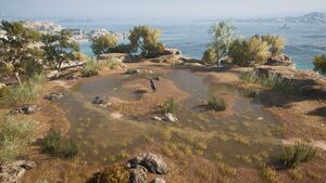 Kythera-KrokottasDen.jpg