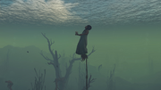 Shadya's body in the lake