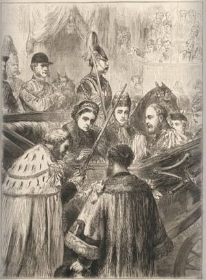 ACS DB Illustrations 26.jpg
