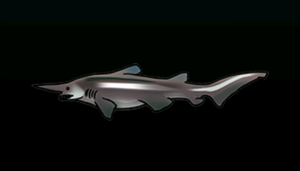 GoblinSharkACP.png