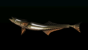 SharksuckerACP.png