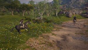 ACOD-TroubleFollows-04.jpg