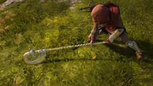 ACOd-CeremonialAxe.jpg