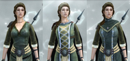 Brigand torso visual