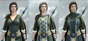Brigand visual torso.png