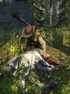 AC3 Hunters Database Image.png