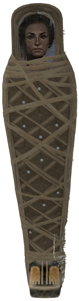 ACO Aya Sarcophagus lid.png