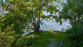 Thumbnail for version as of 06:58, 24 May 2026