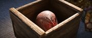 The head of Bessho Nagaharu wrapped in a cloth