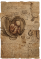 Thumbnail for version as of 16:12, 1 October 2026