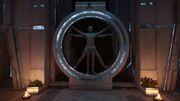 The "Vitruvian Man" models