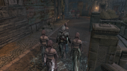 Ezio blending with the Romanies