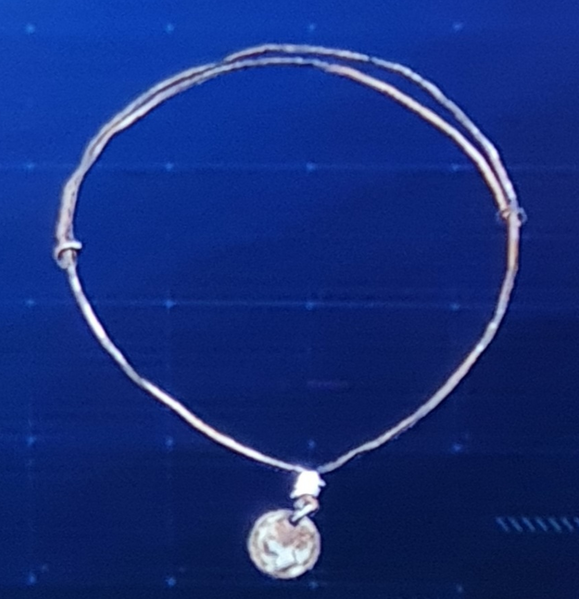 File:WD Legion - Jacob Frye's Necklace.png