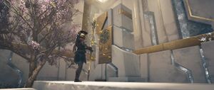ACOD FoA JoA Kassandra Keeper's Insight.jpg