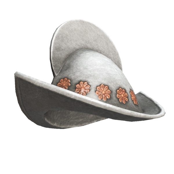 File:ACRogue Fleet Reward - Florida.png