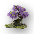 Thumbnail for version as of 04:57, 14 June 2026