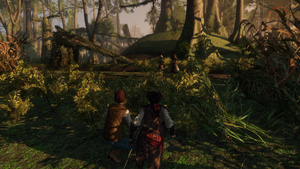 The Second Camp 2.png