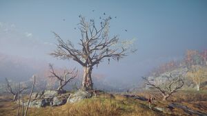 ACOd-Makedonia-Deathtree.jpg