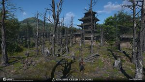 ACSH Todaiji 13.jpg