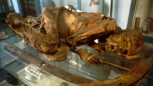 DTAE Mummified Body.png