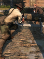Thumbnail for version as of 00:22, 23 January 2026