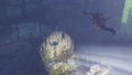 Thumbnail for version as of 00:10, 23 January 2026