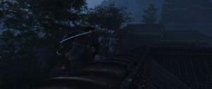 ACSH Lightning and Thunder 5.jpg