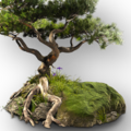Thumbnail for version as of 00:29, 25 June 2026