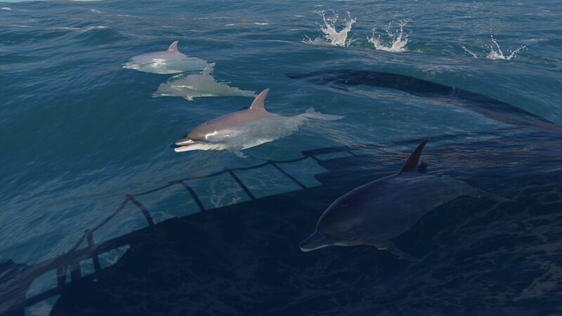 File:Dolphins-ac-od.jpg