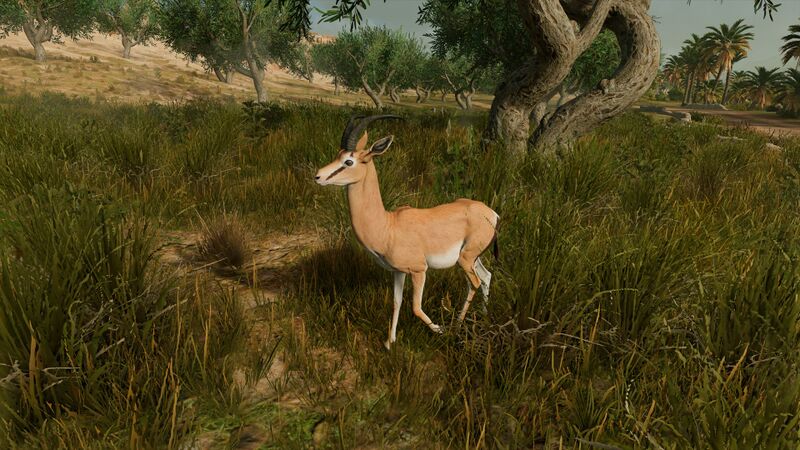 File:Gazelle-origins.jpg