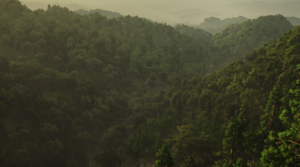 ACSH Kamakura Valley 1.png