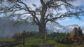 Thumbnail for version as of 00:09, 23 January 2026