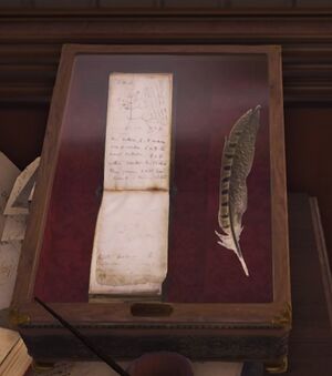 ACS Souvenir - Darwin's sketches.jpg