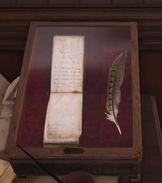File:ACS Souvenir - Darwin's sketches.jpg