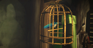 ACC China DB Birds.png