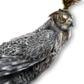 Thumbnail for version as of 00:09, 23 January 2026