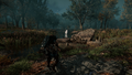 Thumbnail for version as of 00:28, 23 January 2026
