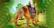 An Indian elephant