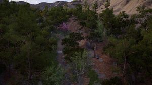 ACOd-Arkadia-ArtemisHuntingGrounds.jpg