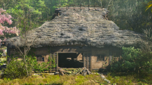 ACSH Naoe's House 1.png