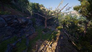 Arkadia-ScorchedTree.jpg