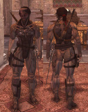 Ezio-raiden-brotherhood.png