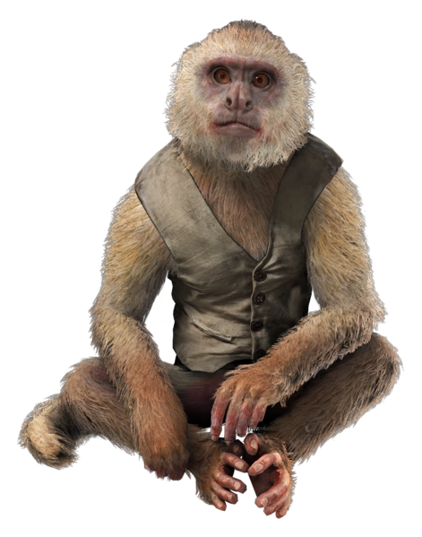 File:ACBFR DB Monkey.webp