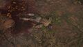 Thumbnail for version as of 13:38, 18 May 2026