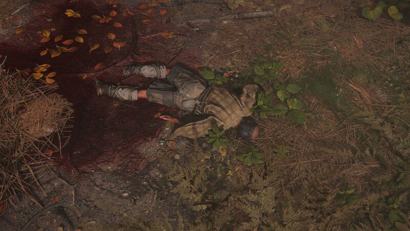 File:ACSH Kagetora's body.jpg