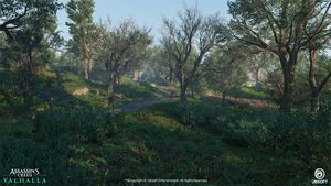 ACV Epinga Forest 1.jpg